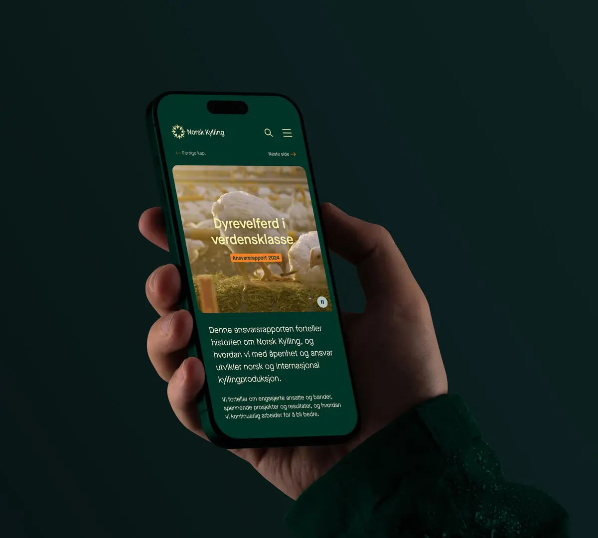 Bilde av ansvarsrapport på mobil