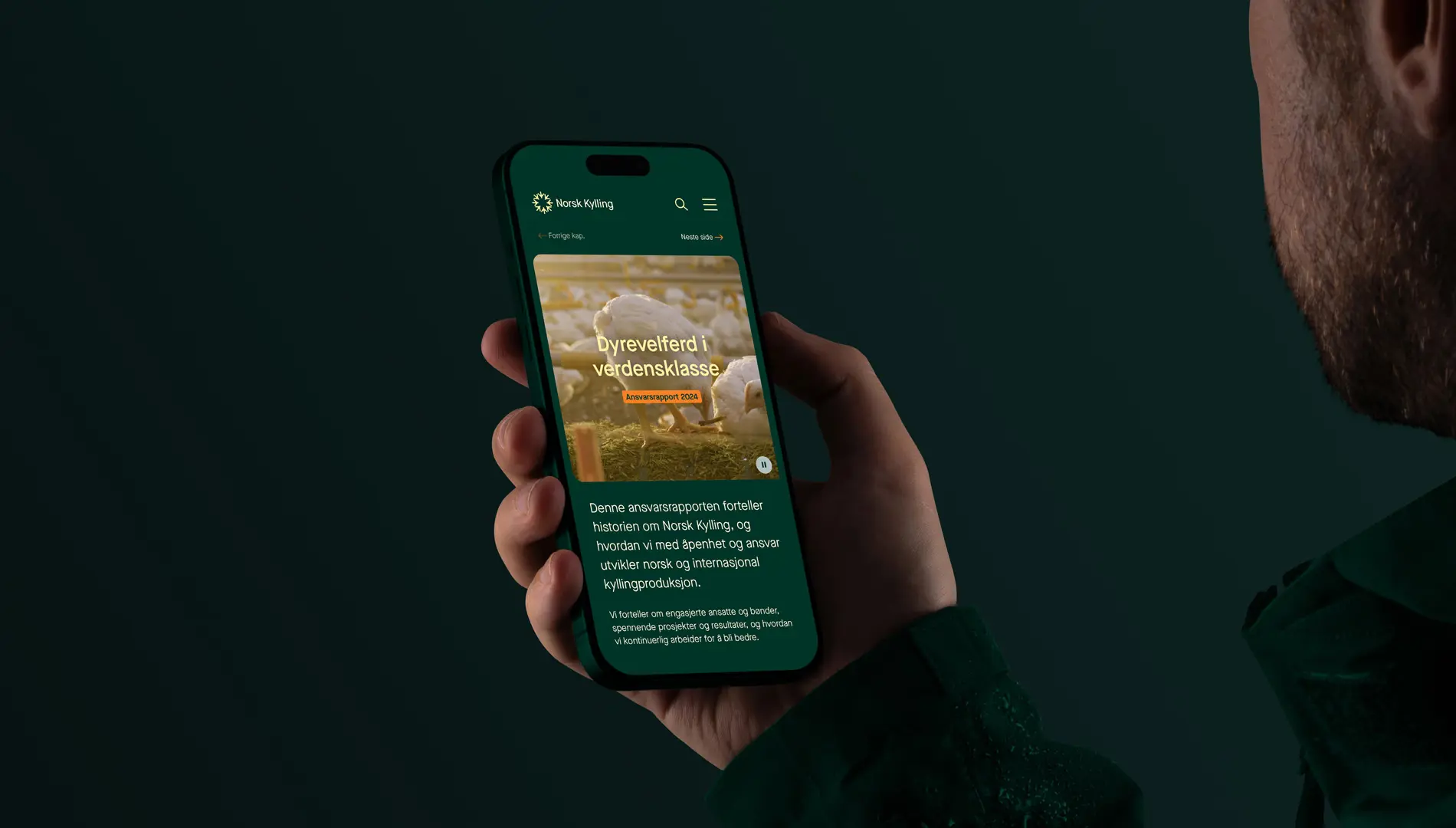 Bilde av ansvarsrapport på mobil